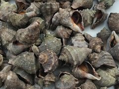 -香满居张记小厨私房菜(青岛站店)
