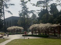 -四川大学(望江校区)