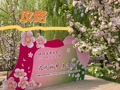 -元大都城垣遗址公园