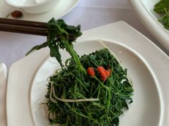 养生枸杞苗-中发源·清真餐厅(南油店)