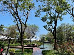 -瑰丽酒店·海吧·天际下午茶·现场DJ·天台酒吧