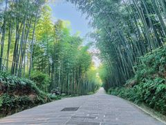 -蜀南竹海景区