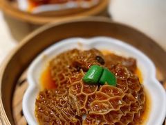 -点都德·毕德寮