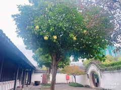 -王阳明故居