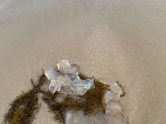 -西涌国际滨海旅游区