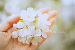 点击看大图 -吉吉靓甲美睫