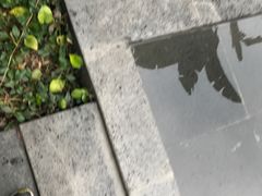 -龙山酒店温泉