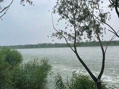 -绿堤公园