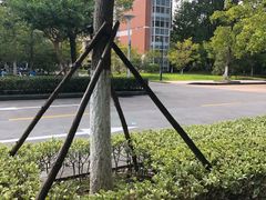 -杭州电子科技大学(下沙校区)