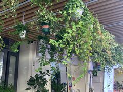 -溪岸路花鸟市场