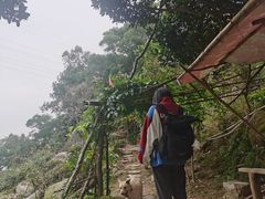 -南屏观音庙