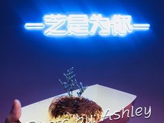 -狐狸和向日葵(北京路店)
