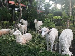 -东芭乐园