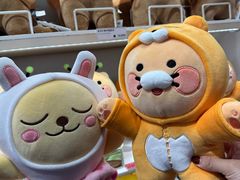 -KAKAO FRIENDS(弘大店)