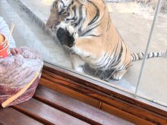 -栾川竹海野生动物园