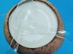 -椰爺爺·椰子冻砵仔糕