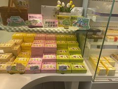 -蒲公英(五里店)