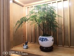 -子曰书院·古筝围棋书法国画小主持(夏都店)