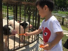 -上海滴水湖皇冠假日酒店