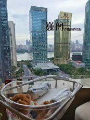 -巍阁高端月子会所