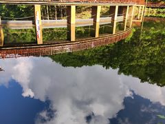 -洛阳白云山景区