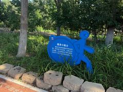 -大兴滨河森林公园