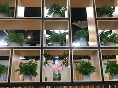 -南国锋味椰子鸡(瀚海店)