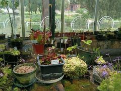 -国家植物园南园