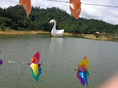 -千岛湖龙川湾
