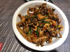 -壹盏灯(惠农店)