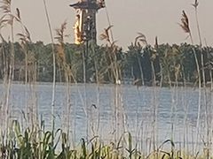 -溱湖国家湿地公园