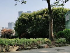 -北外滩百艇汇游艇俱乐部