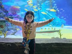 -沈阳海洋探索中心