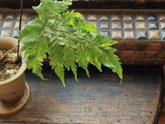 -西关84·History·Art·Cafe