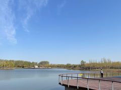 -东郊湿地公园