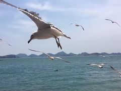 -海驴岛(荣成市)