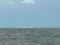 -日照世帆赛基地