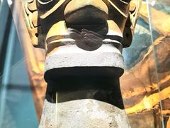 -遇见博物馆(遇见海洋沉浸式奇幻光影展)