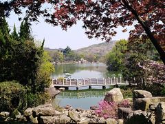 -白马涧龙池景区