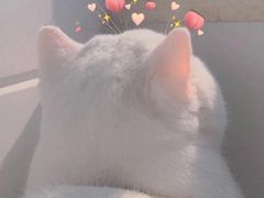 -常乐·对症推拿(来福士第43分店)