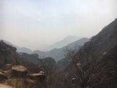-大岭沟猕猴桃谷风景区
