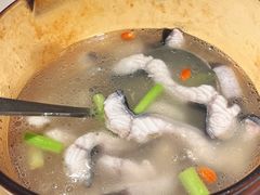 山泉水煮活鳗鱼-莆田餐厅PUTIEN(三里屯店)