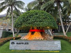 -海南清水湾莱佛士酒店