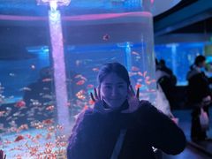 -海合安成都极地海洋公园