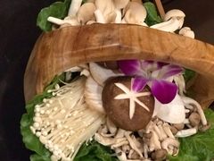 -捞神汤物料理(正大广场店)