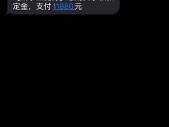 -威尔仕健身(虹桥南丰城店)