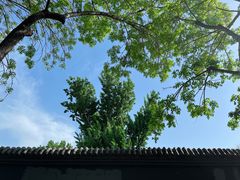 -春风习习