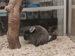 -藦茜花园宠物主题亲子互动体验馆(国顺东路店)