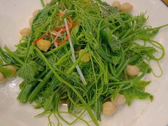 清香南瓜尖-巴依老爷新疆美食(望京小街店)