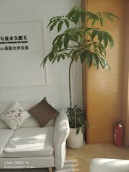 -HEYAN荷妍专业脱毛连锁机构